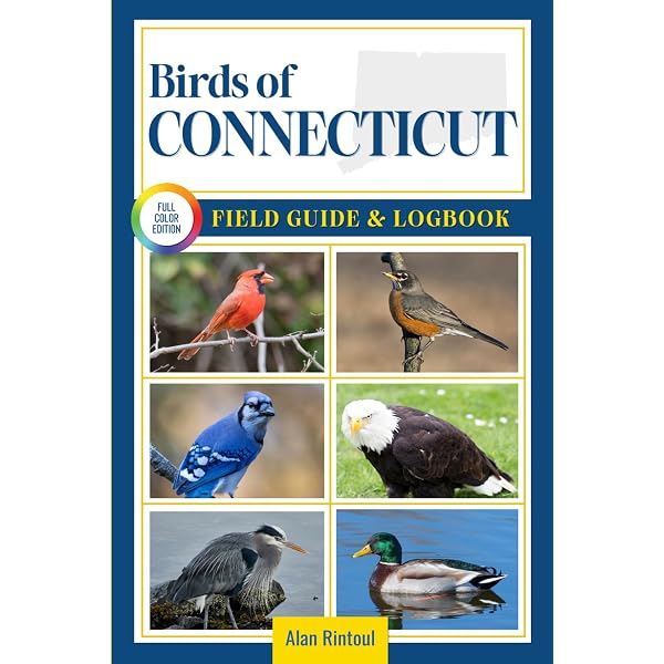 Encyclopedia Of Birds: A Comprehensive Illustrated Guide By
